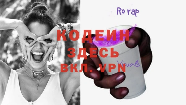 дурь Арсеньев