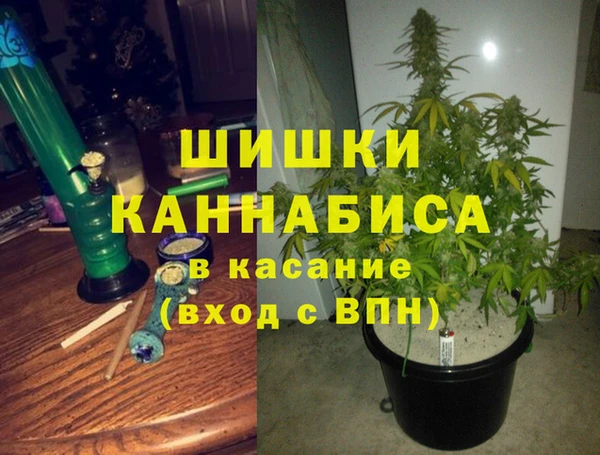 дурь Арсеньев